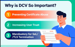 Mengapa-DCV-Sangat-Penting